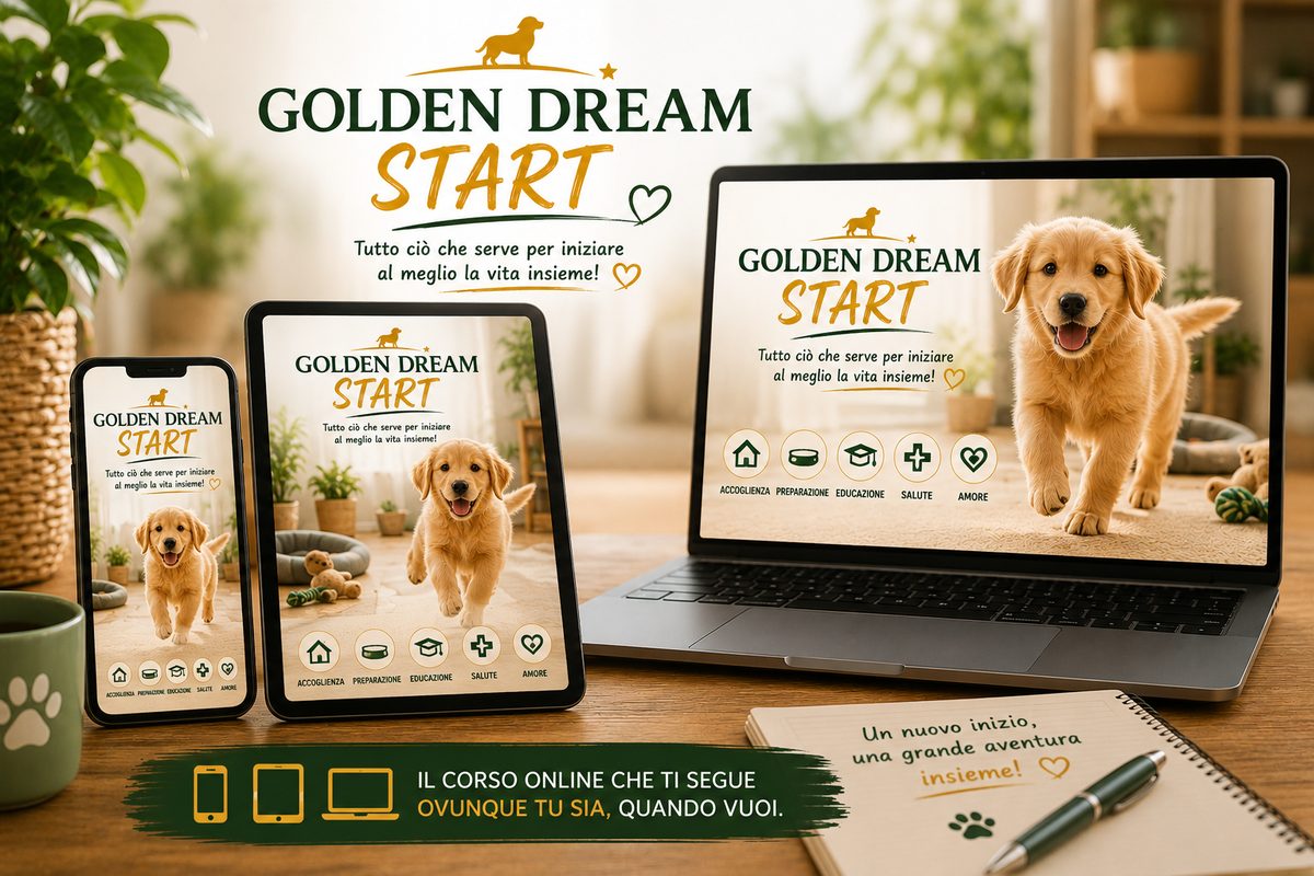 Golden Dream Start su telefono, tablet e computer